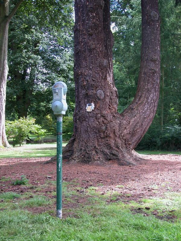 Park Meter - The Pinetum is no place to park your tree